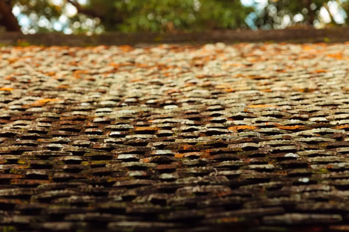 Aging shingle roof with moss growth and granule loss in Fort Lauderdale, FL